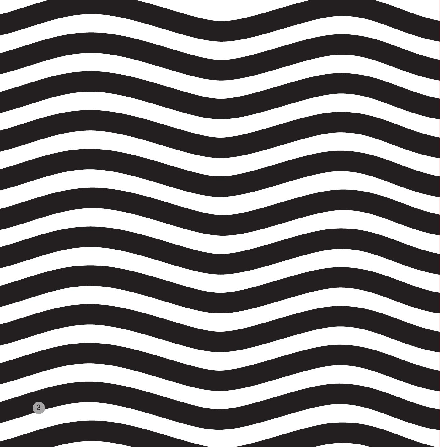 sách kích thích thị giác và xúc giác - động vật - bìa cứng - Ảnh 5