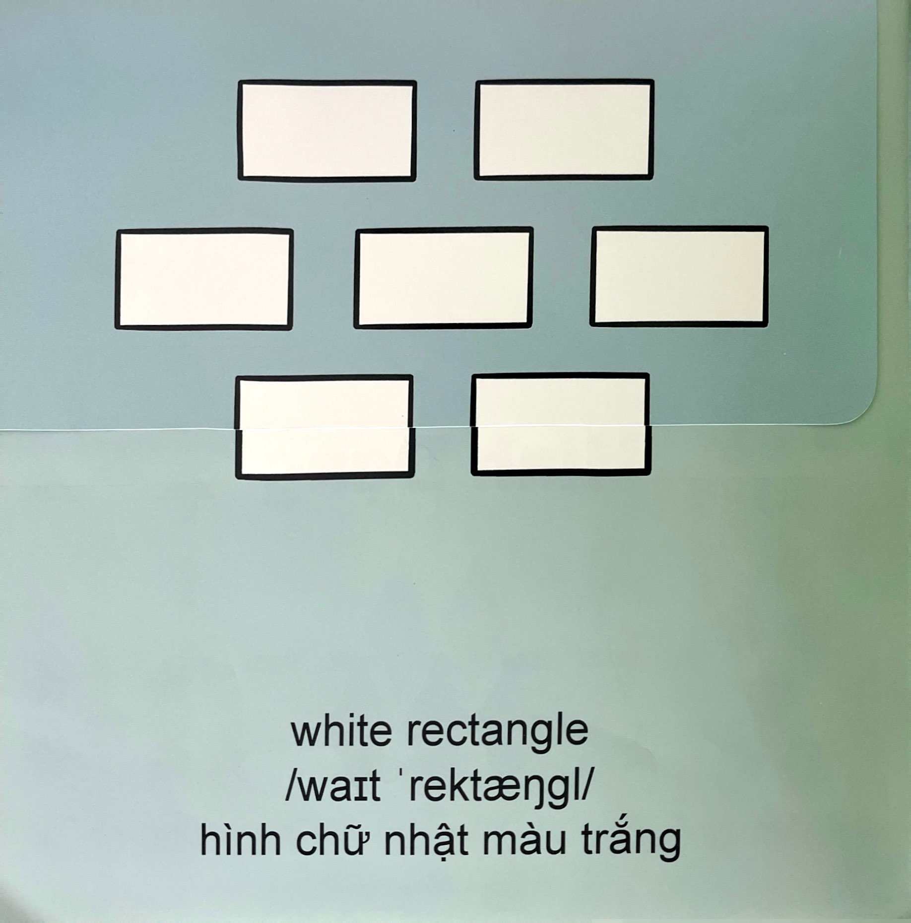 sách lật mở khám phá - màu sắc và hình dạng - Ảnh 3