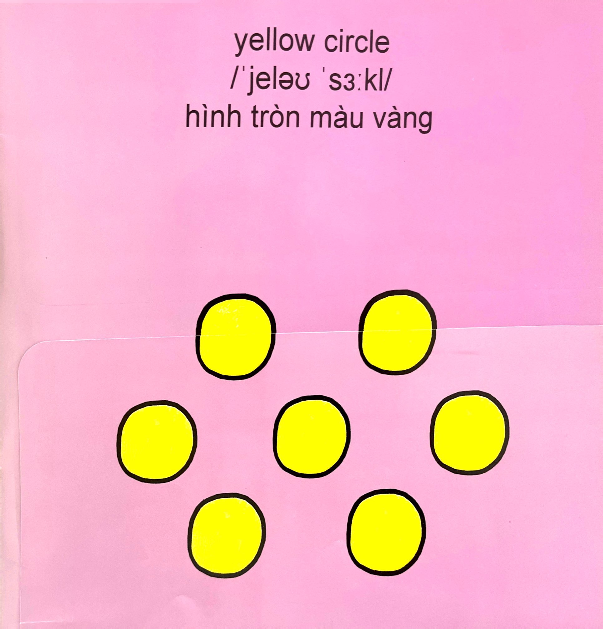 sách lật mở khám phá - màu sắc và hình dạng - Ảnh 5