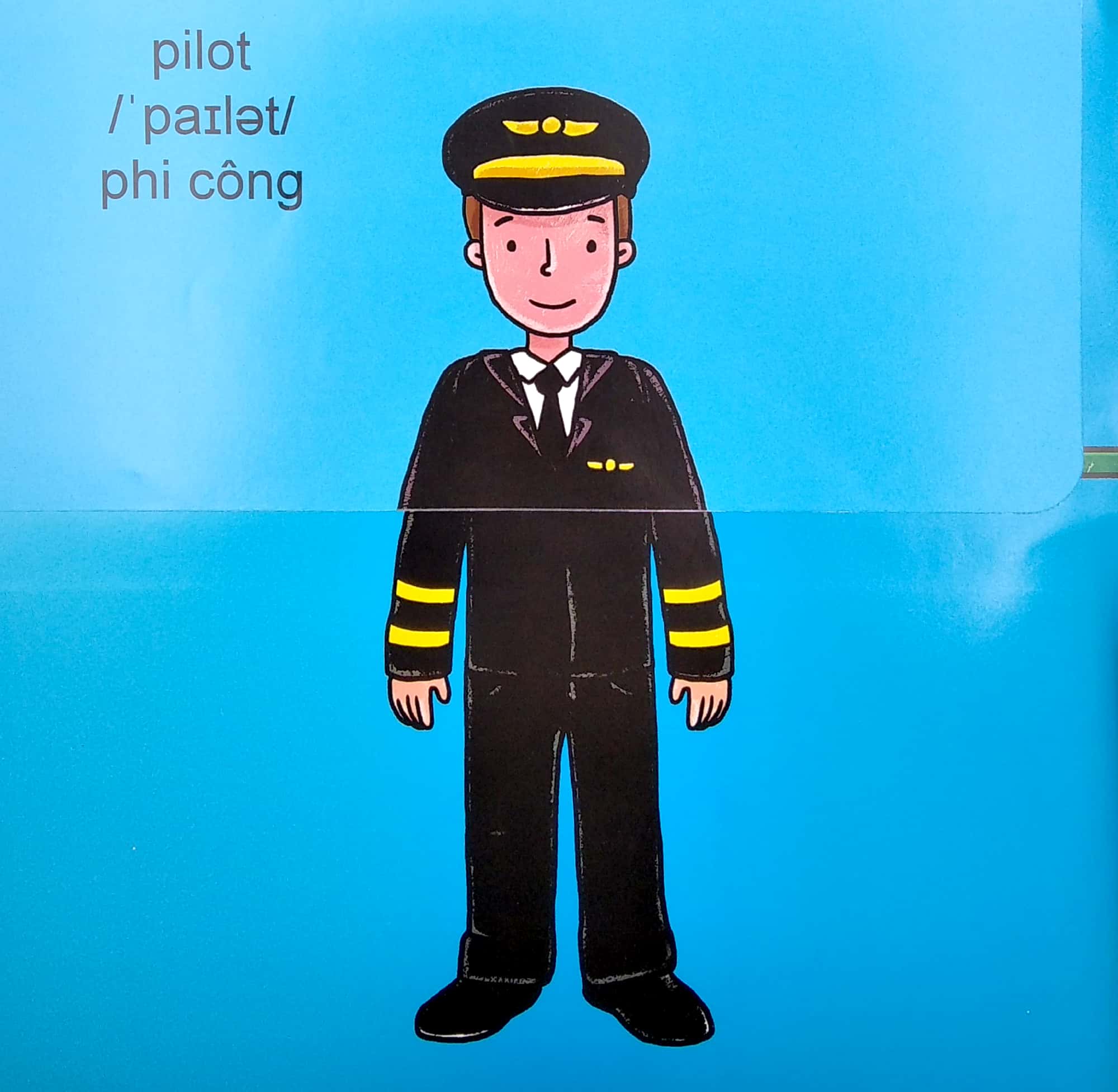 sách lật mở khám phá - nghế nghiệp - Ảnh 5