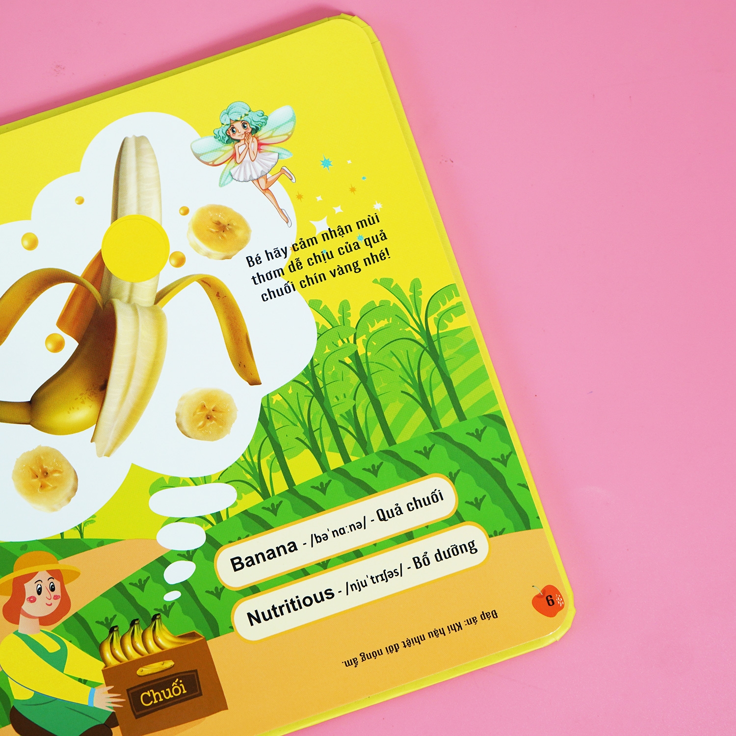 sách mùi hương - các loại trái cây - Ảnh 10