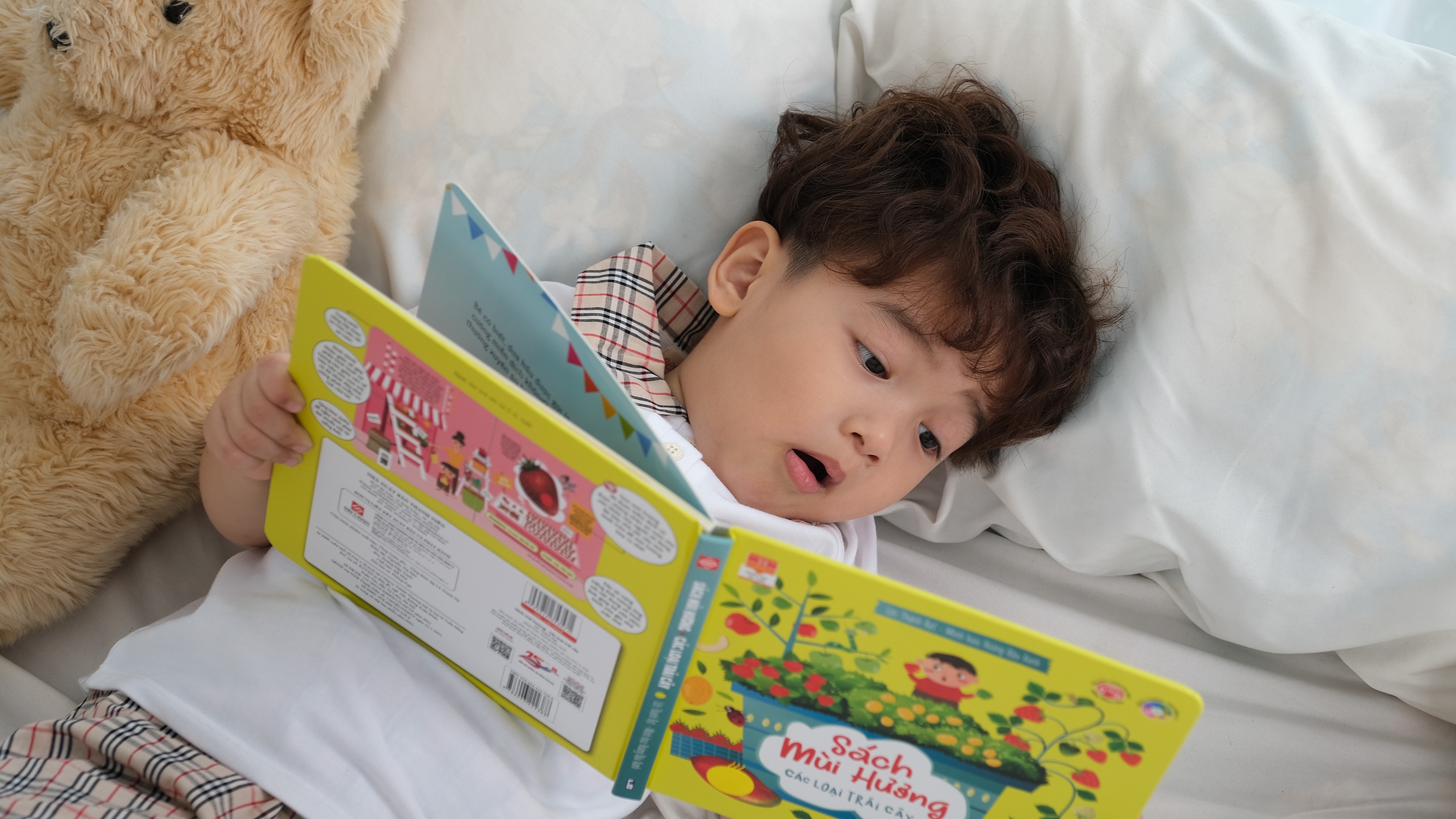 sách mùi hương - các loại trái cây - Ảnh 6