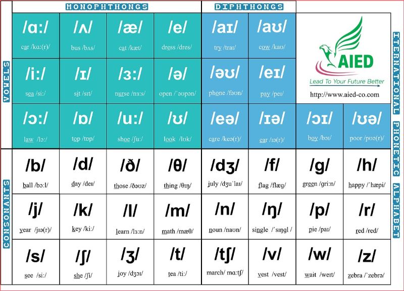 sách ngữ âm dành cho người bắt đầu (kèm cd) - Ảnh 9