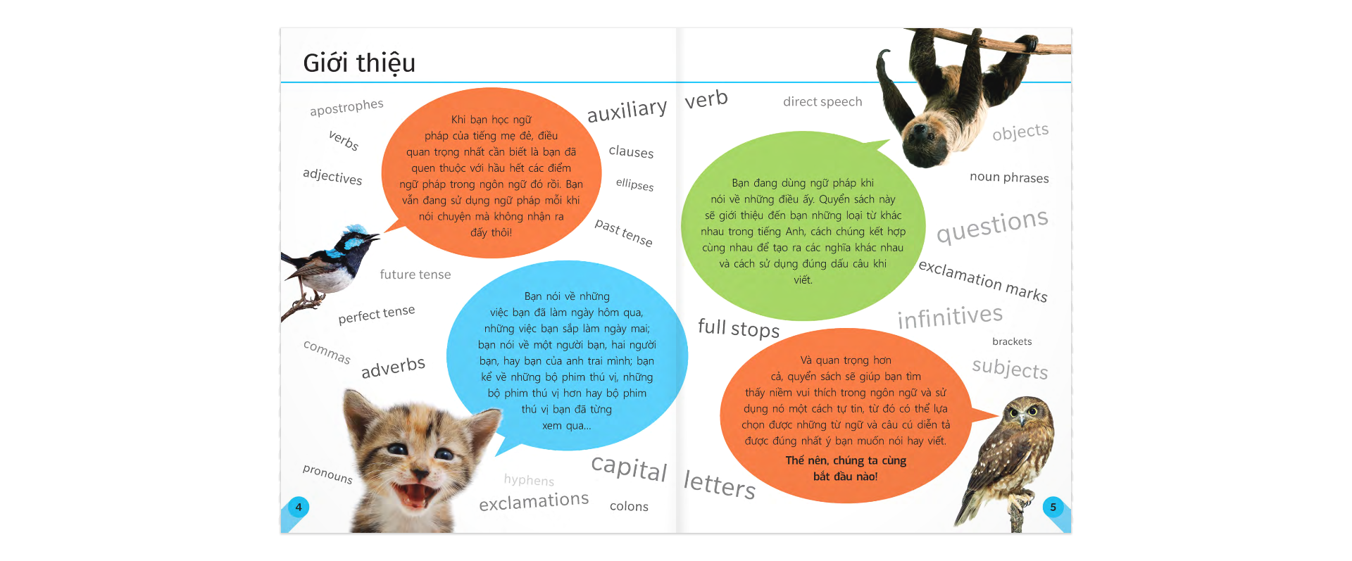 sách tham khảo trực quan về ngữ pháp và dấu câu - Ảnh 3