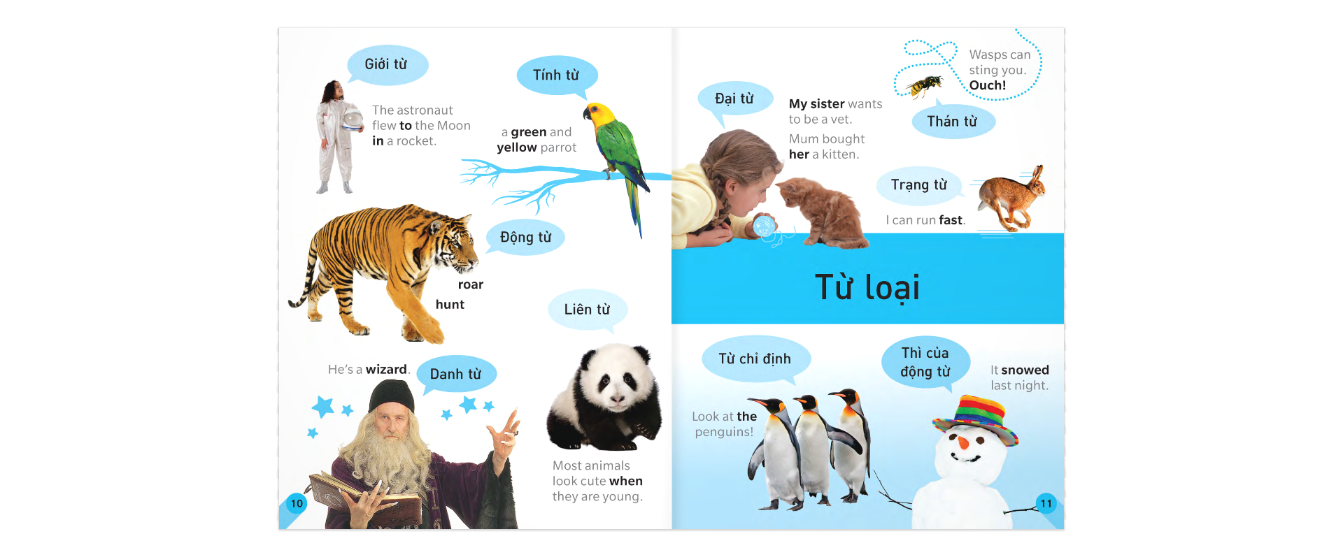 sách tham khảo trực quan về ngữ pháp và dấu câu - Ảnh 6