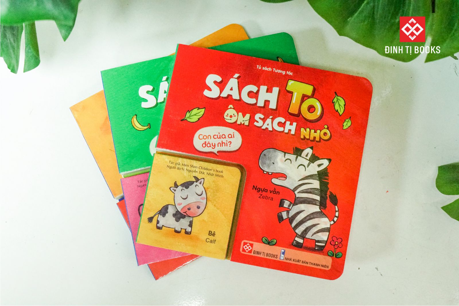 sách to ôm sách nhỏ - con của ai đây nhỉ? - Ảnh 2