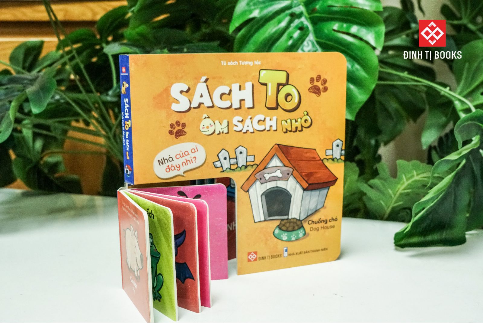 sách to ôm sách nhỏ - nhà của ai đây nhỉ? - Ảnh 2