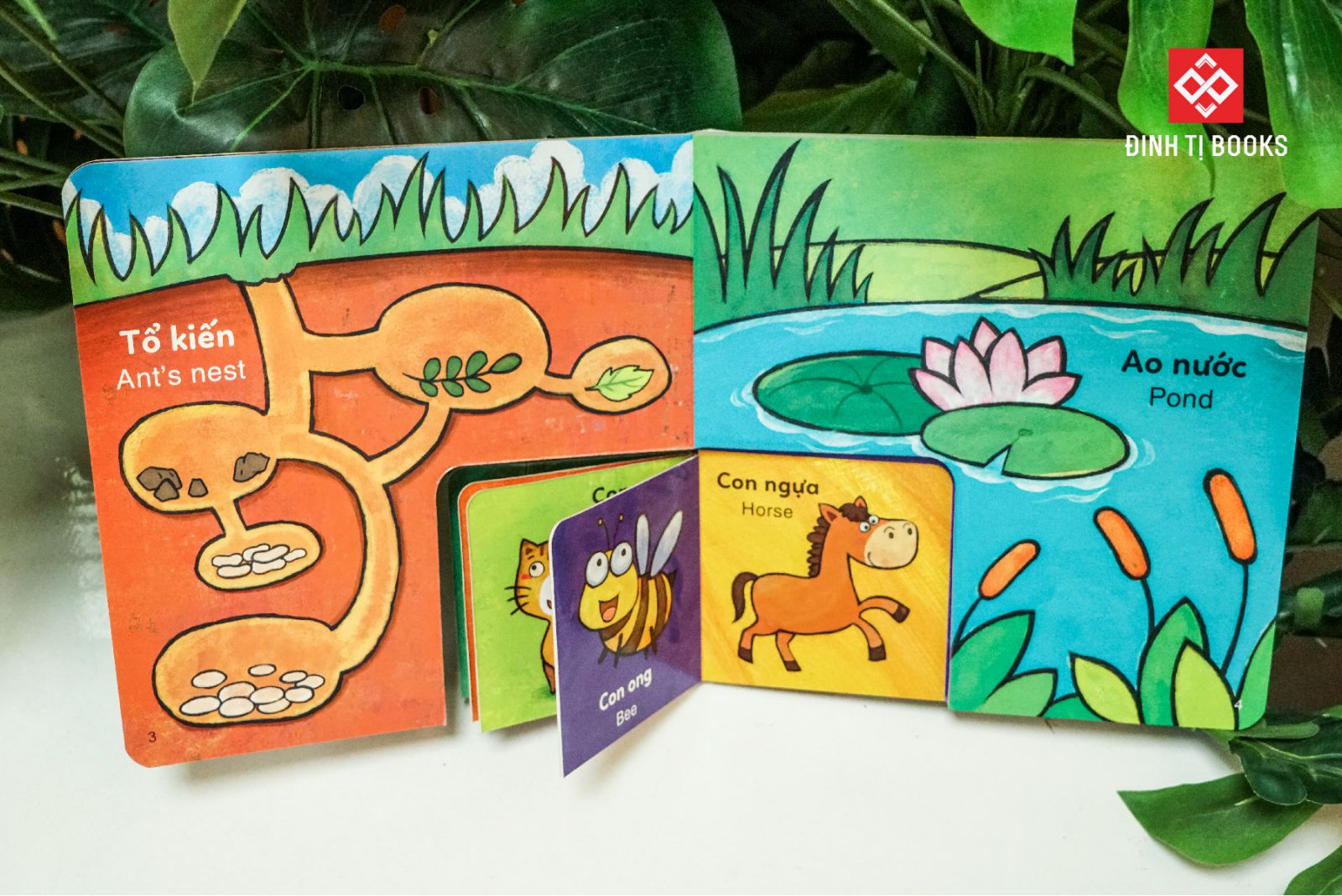 sách to ôm sách nhỏ - nhà của ai đây nhỉ? - Ảnh 4