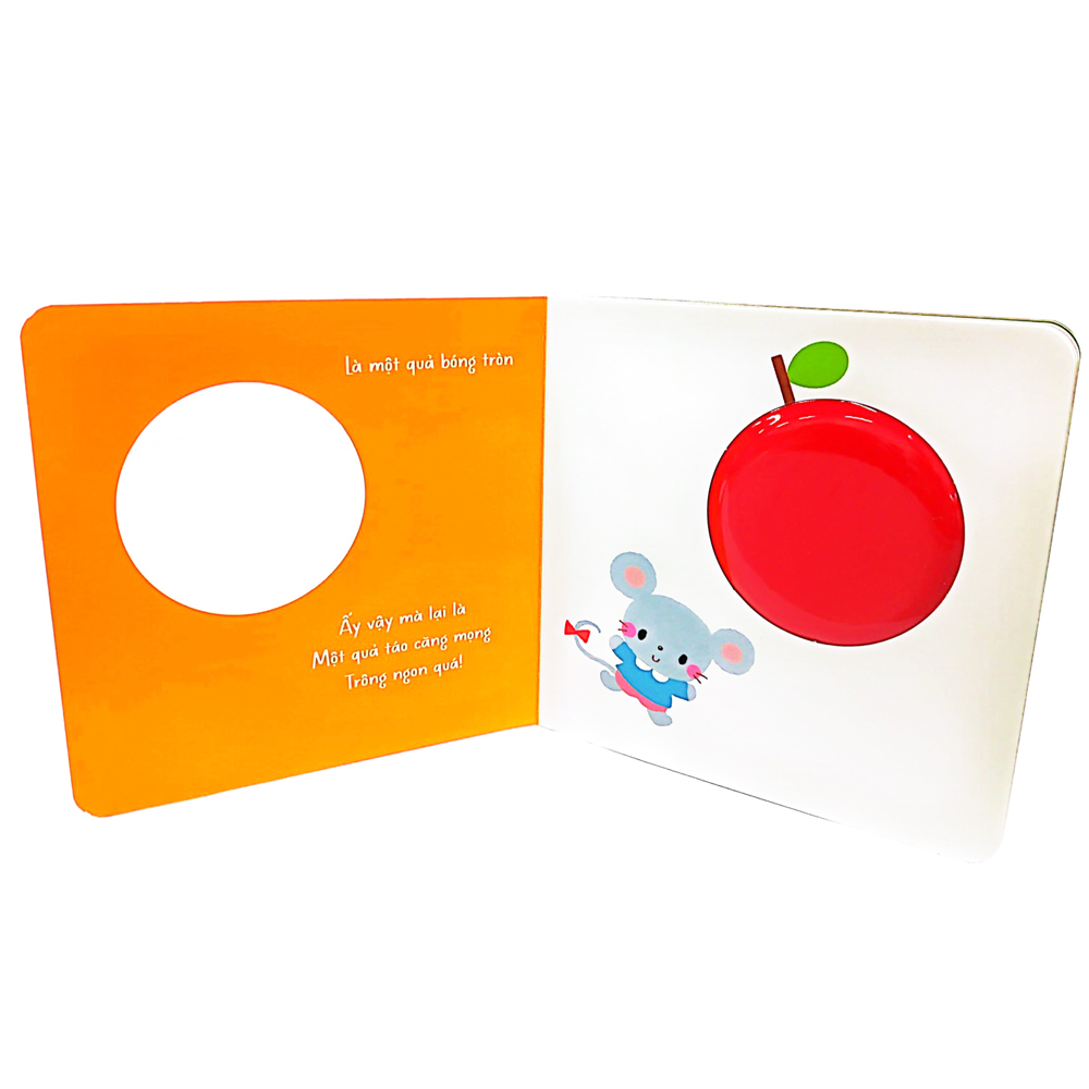 sách tranh chạm của arakawa shizue - thứ tròn trĩnh này là gì vậy? - Ảnh 4