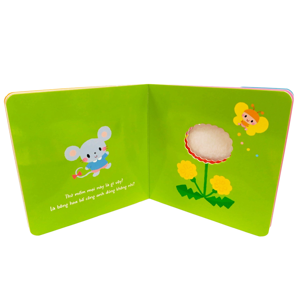 sách tranh chạm của arakawa shizue - thứ tròn trĩnh này là gì vậy? - Ảnh 7