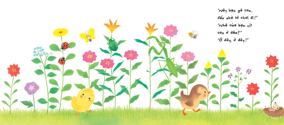 sách tranh pop-up - bạn của gà con - Ảnh 5
