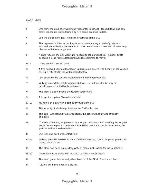 sacred places: a mindful journey and coloring book - Ảnh 13