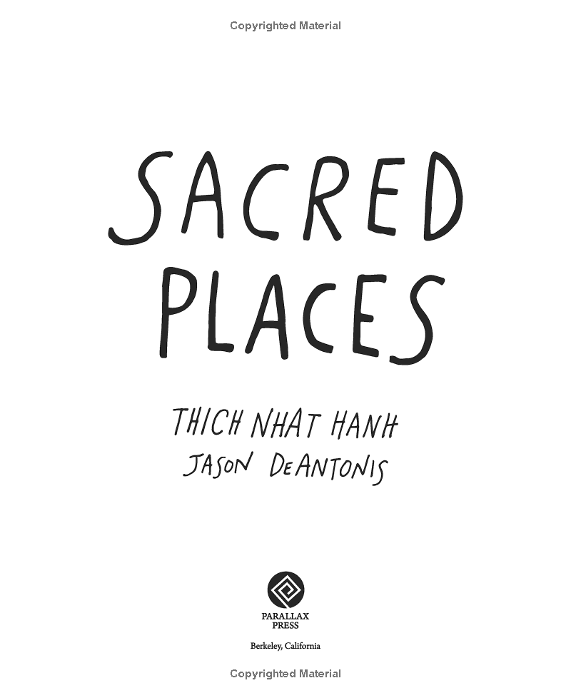 sacred places: a mindful journey and coloring book - Ảnh 5