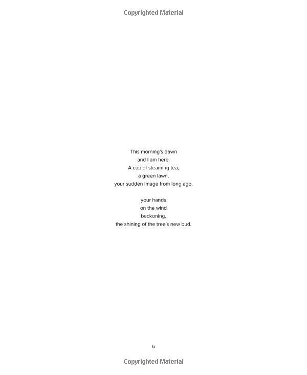 sacred places: a mindful journey and coloring book - Ảnh 7