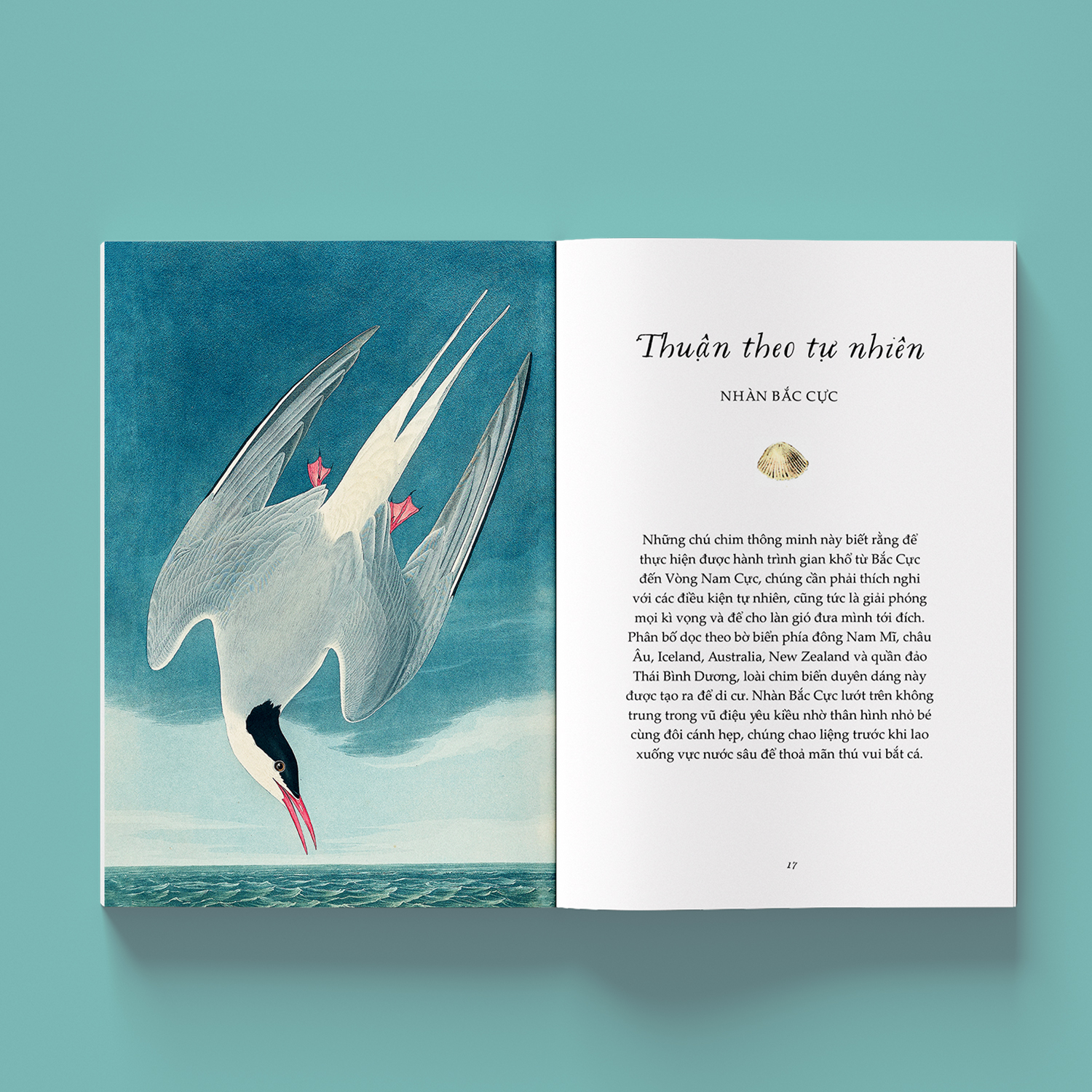 sải cánh như những chú chim - những bài học nhỏ để có nguồn năng lượng tích cực bất tận - Ảnh 3