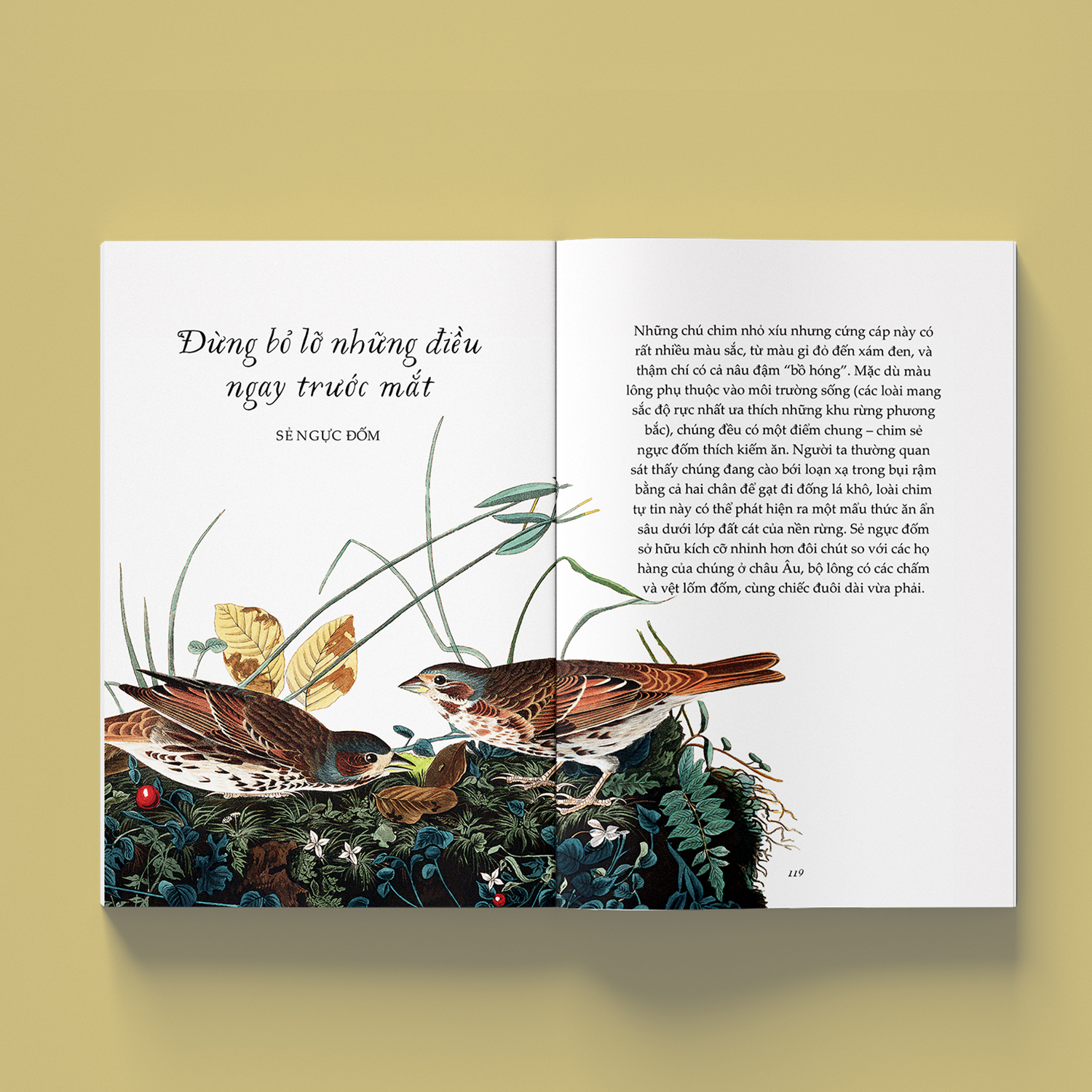 sải cánh như những chú chim - những bài học nhỏ để có nguồn năng lượng tích cực bất tận - Ảnh 4