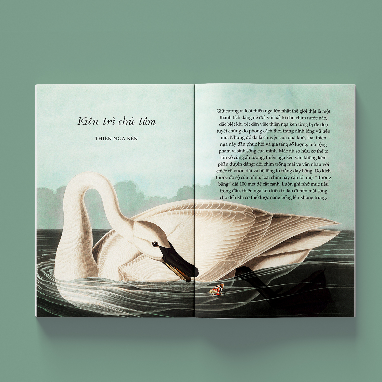 sải cánh như những chú chim - những bài học nhỏ để có nguồn năng lượng tích cực bất tận - Ảnh 5