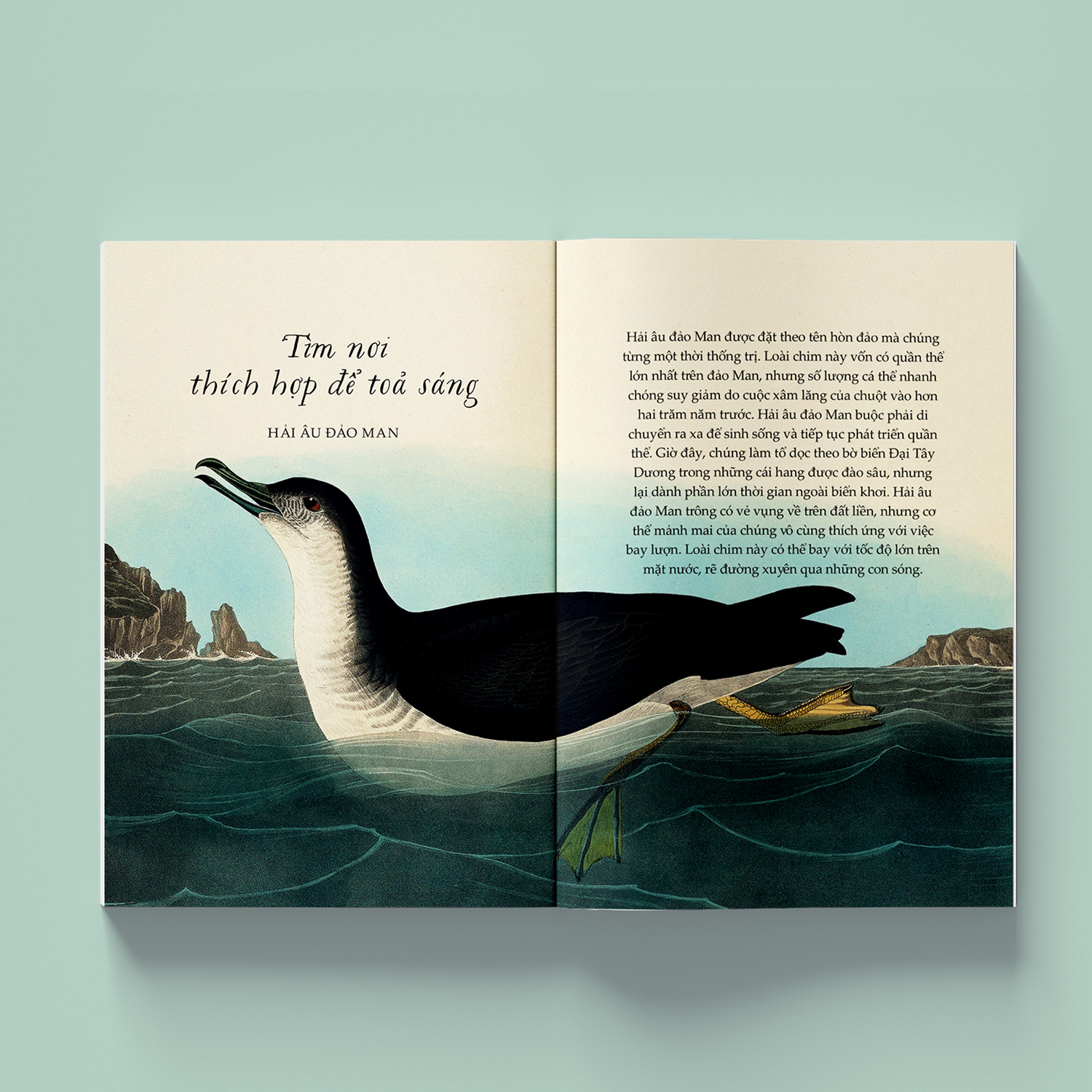 sải cánh như những chú chim - những bài học nhỏ để có nguồn năng lượng tích cực bất tận - Ảnh 6