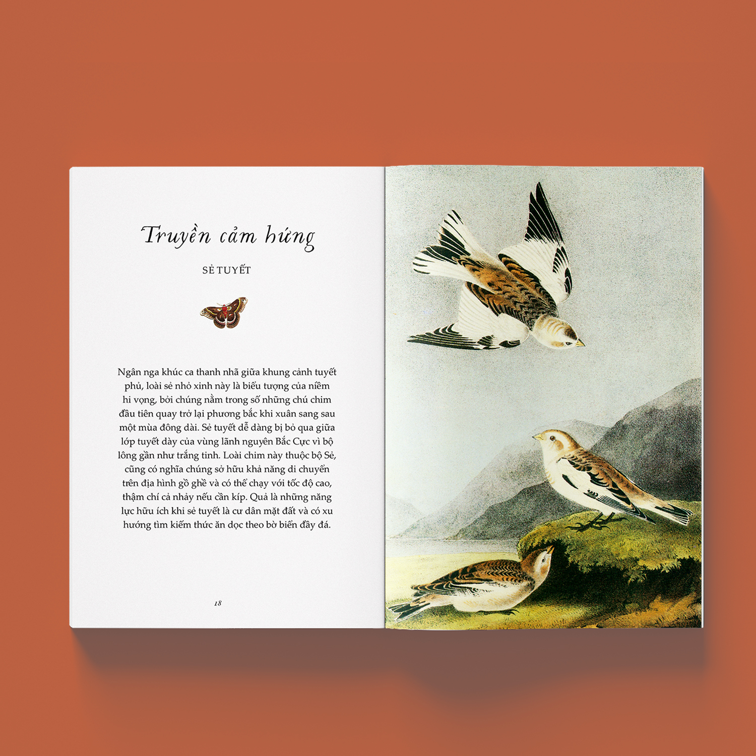 sải cánh như những chú chim - những bài học nhỏ để có nguồn năng lượng tích cực bất tận - Ảnh 7