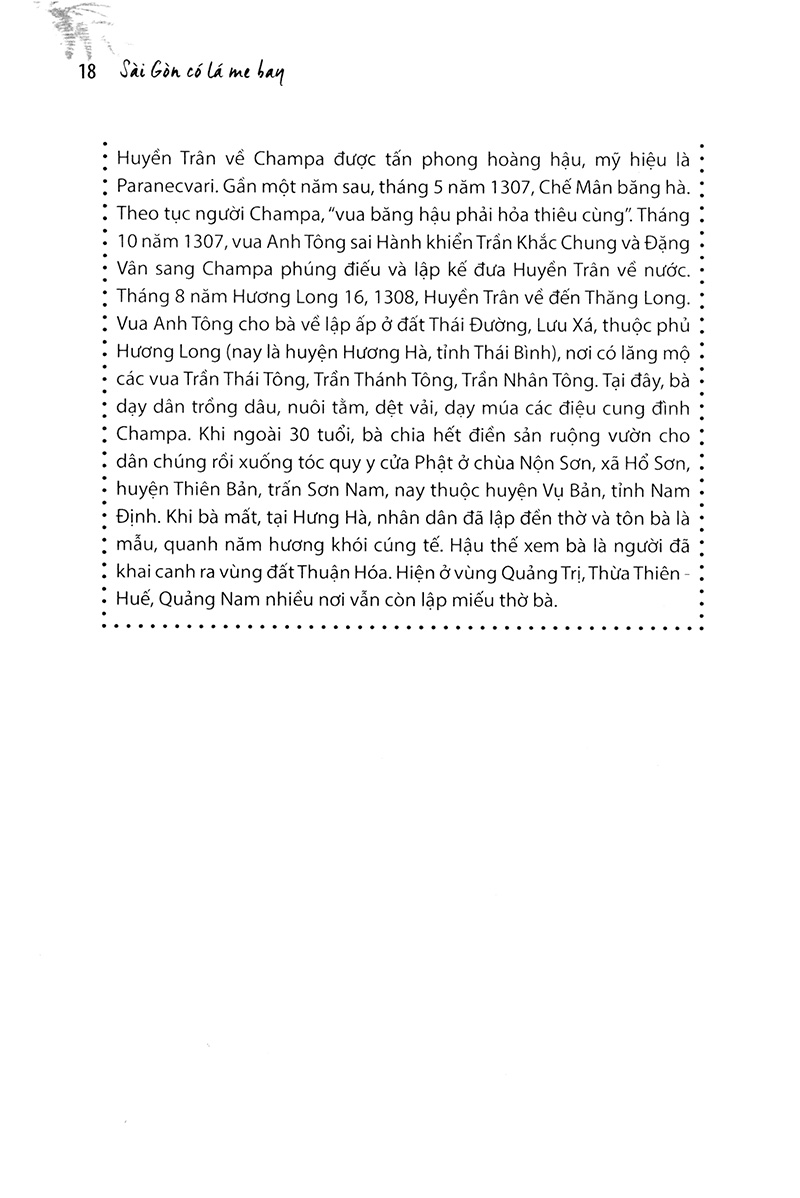 sài gòn có lá me bay - Ảnh 12