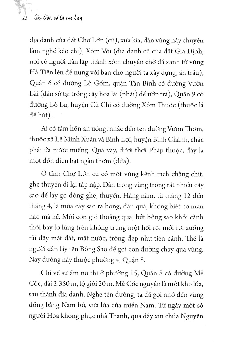 sài gòn có lá me bay - Ảnh 16