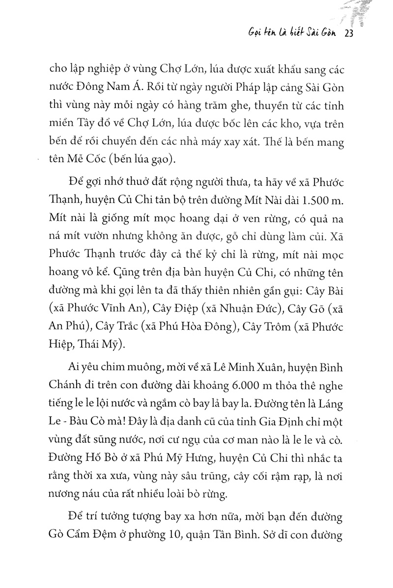 sài gòn có lá me bay - Ảnh 17