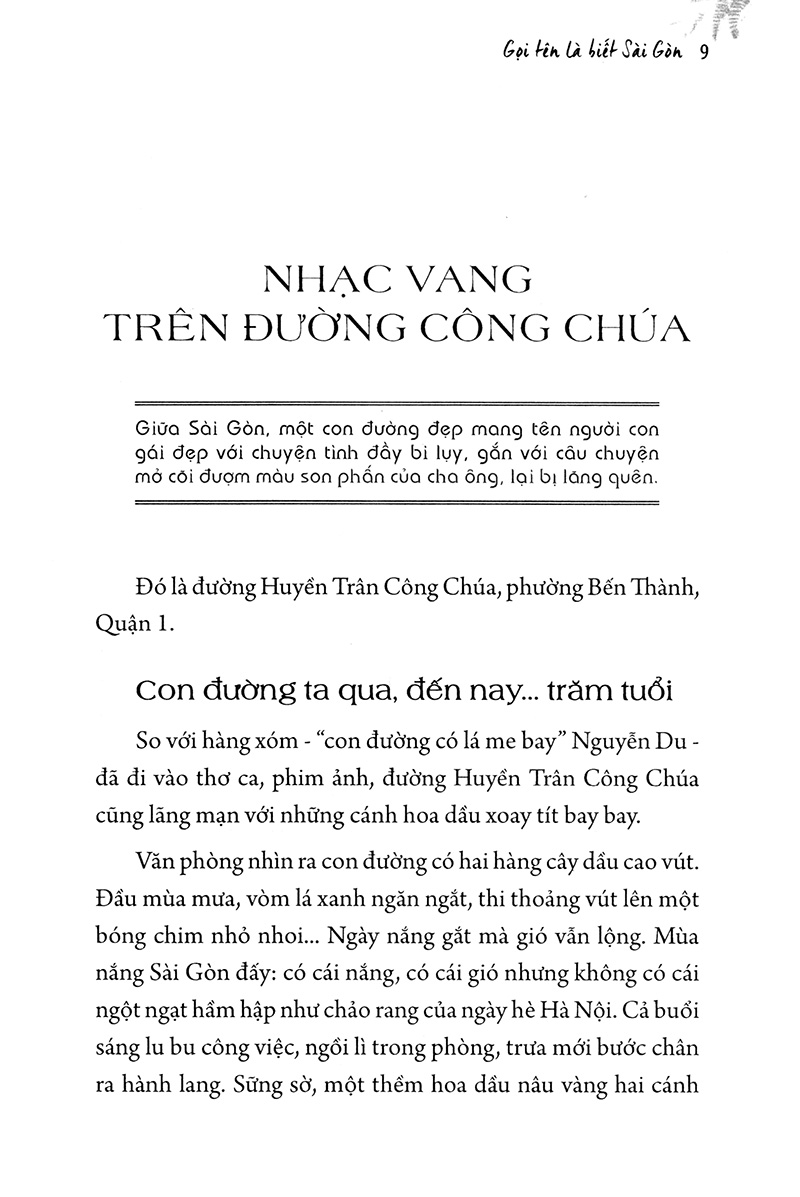 sài gòn có lá me bay - Ảnh 3