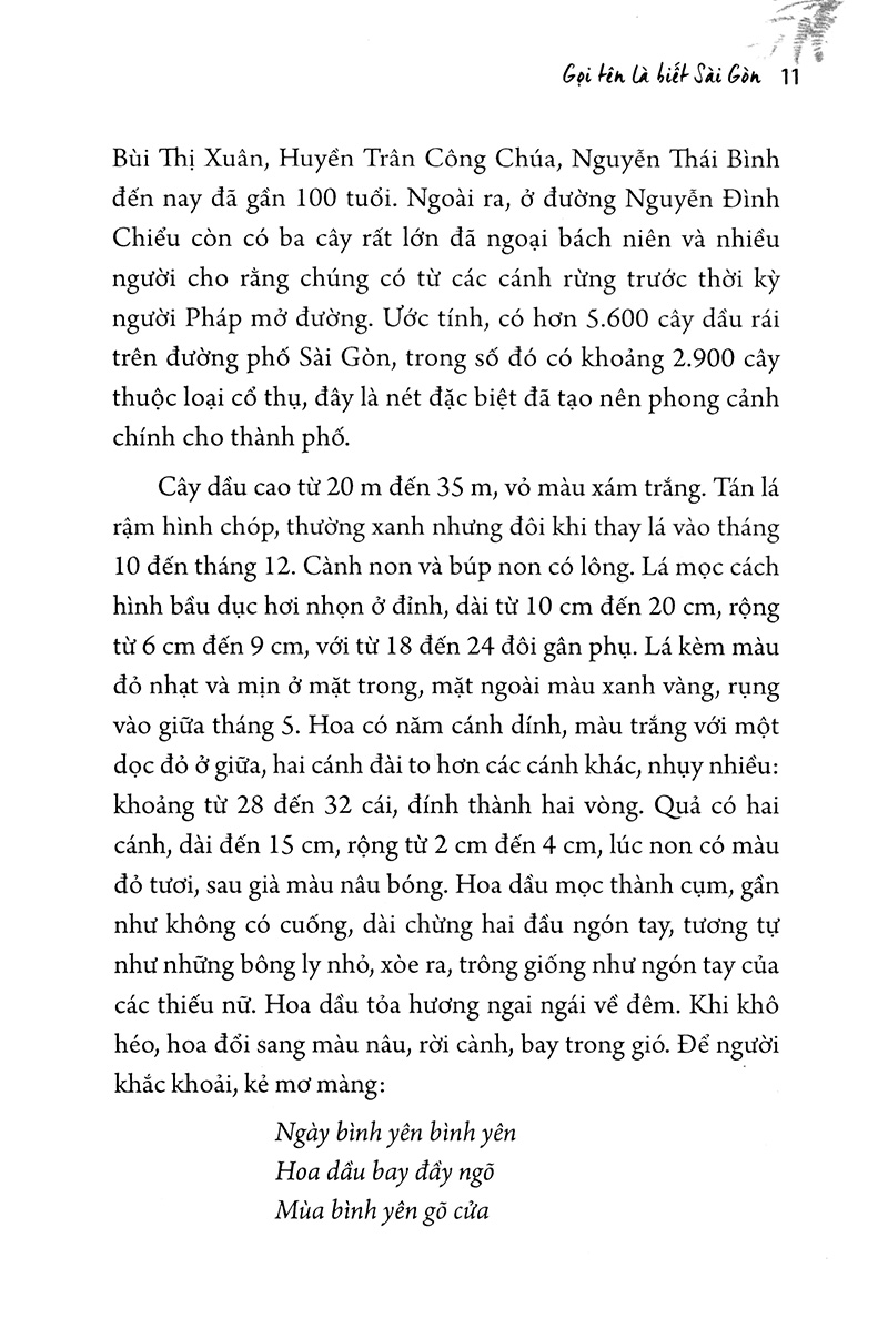 sài gòn có lá me bay - Ảnh 5