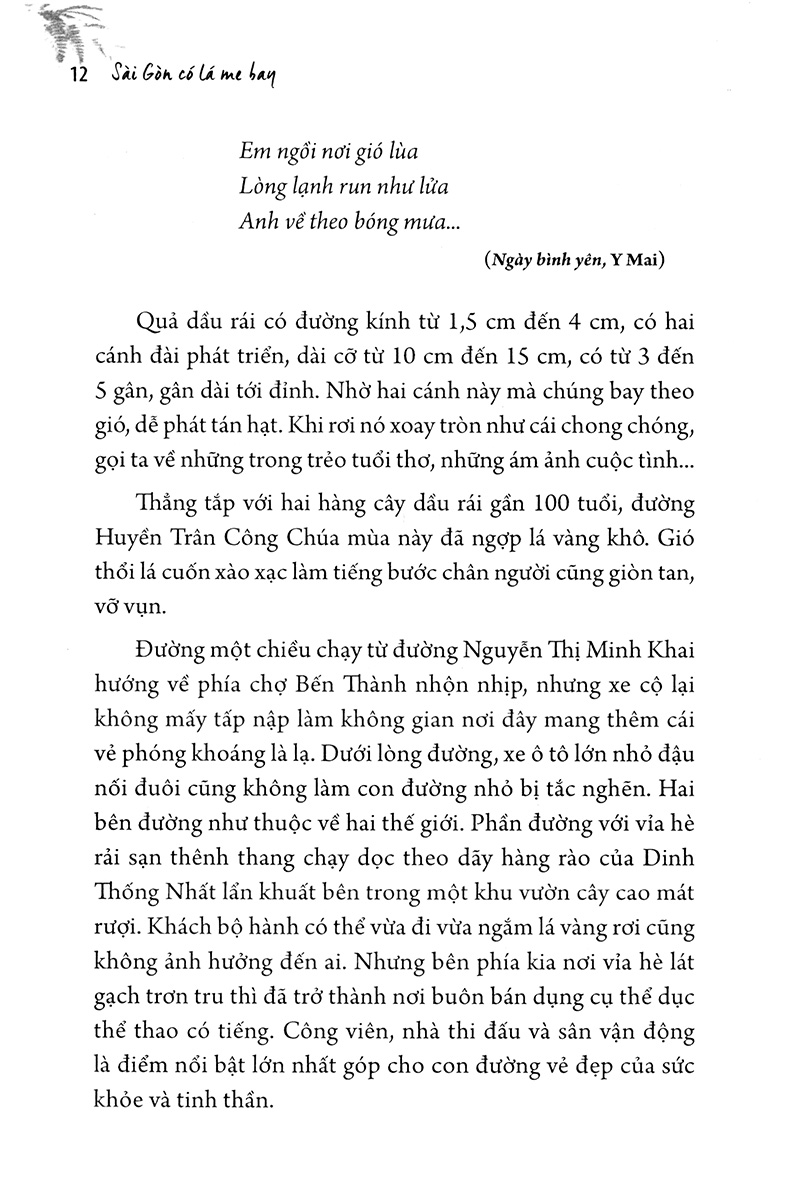 sài gòn có lá me bay - Ảnh 6