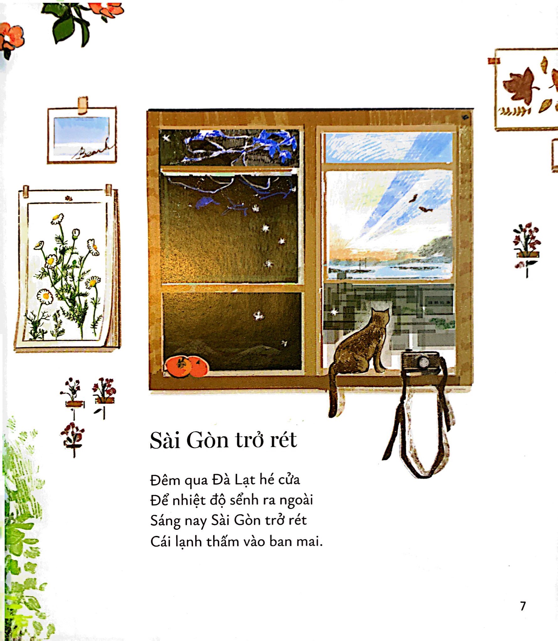 sài gòn sót mấy con ve - Ảnh 7