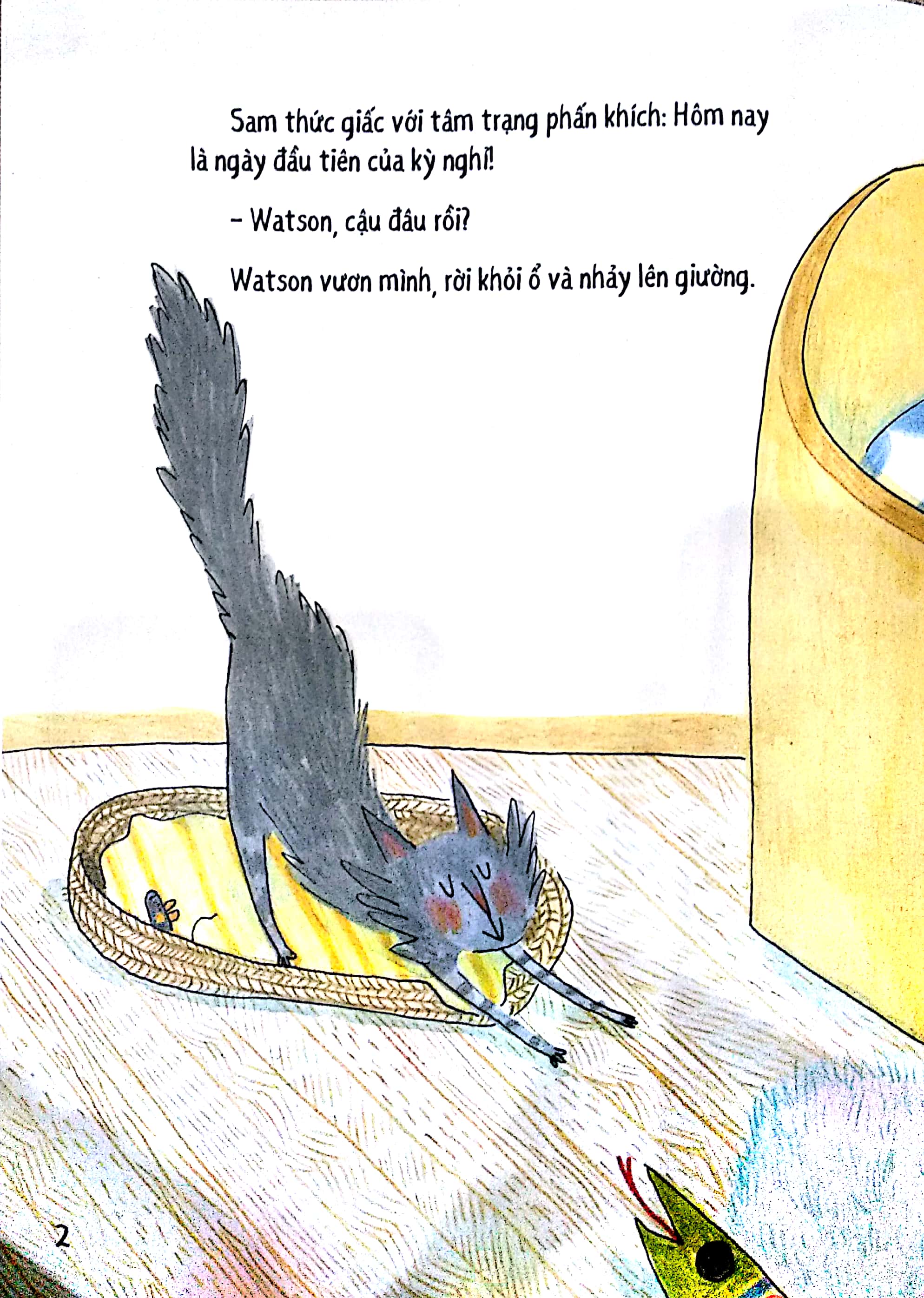 sam & watson - nhìn bằng trái tim - Ảnh 2