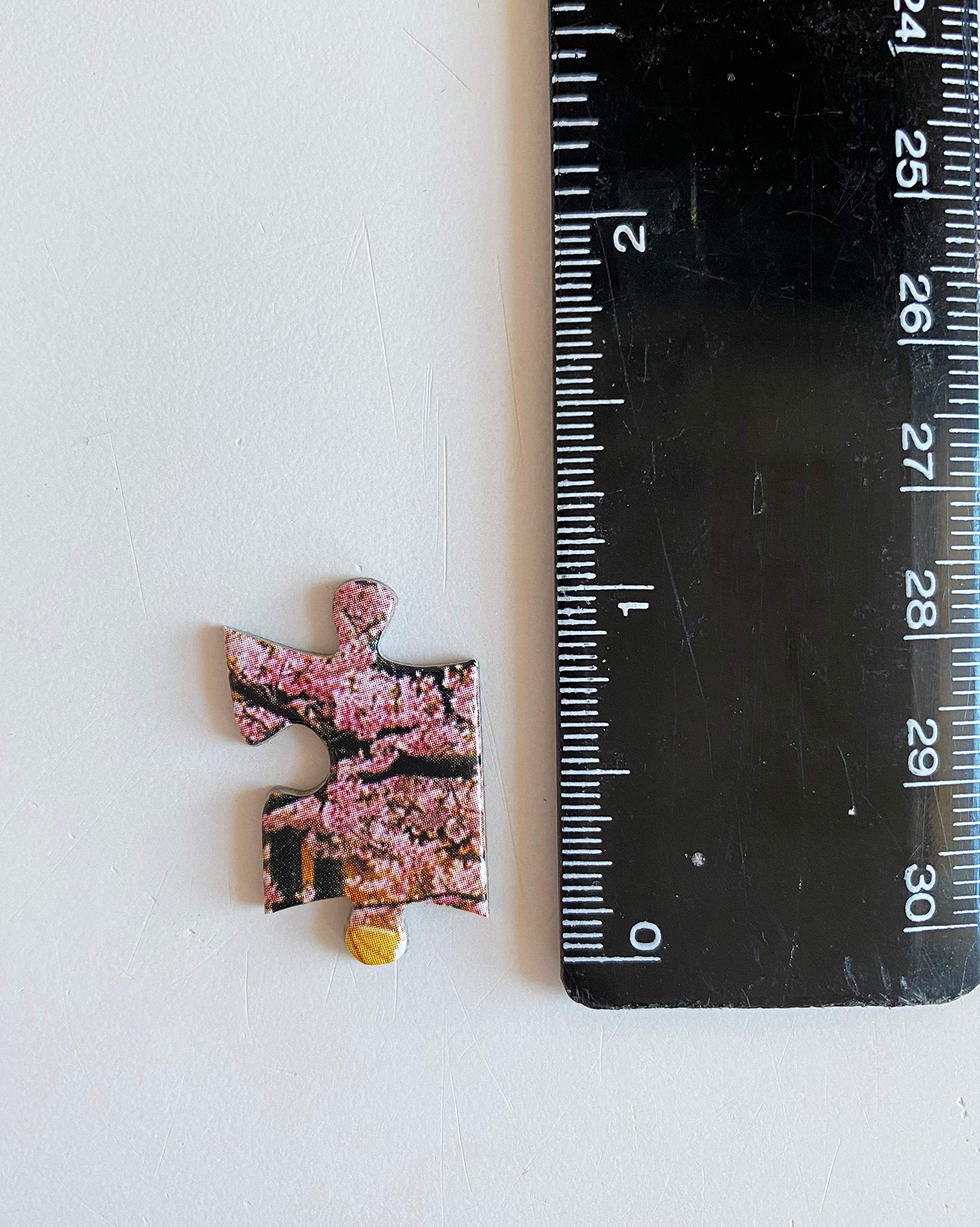 samurai castle & cherry blossoms - 1000 piece jigsaw puzzle: cherry blossoms at himeji castle (finished size 24 in x 18 in) - Ảnh 8