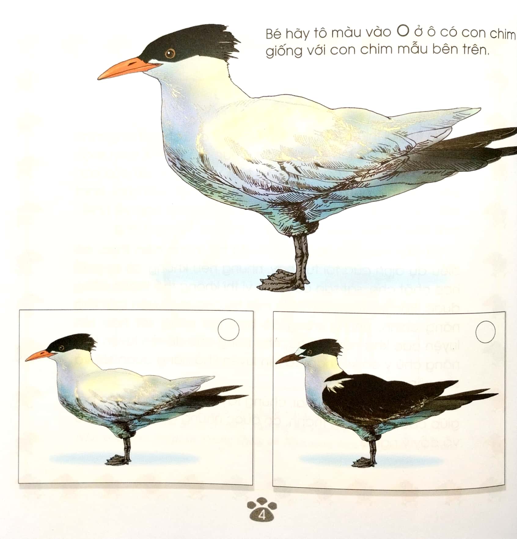 sân chơi trí tuệ của chim đa đa - trò chơi rèn luyện khả năng chú ý (tái bản 2022) - Ảnh 4