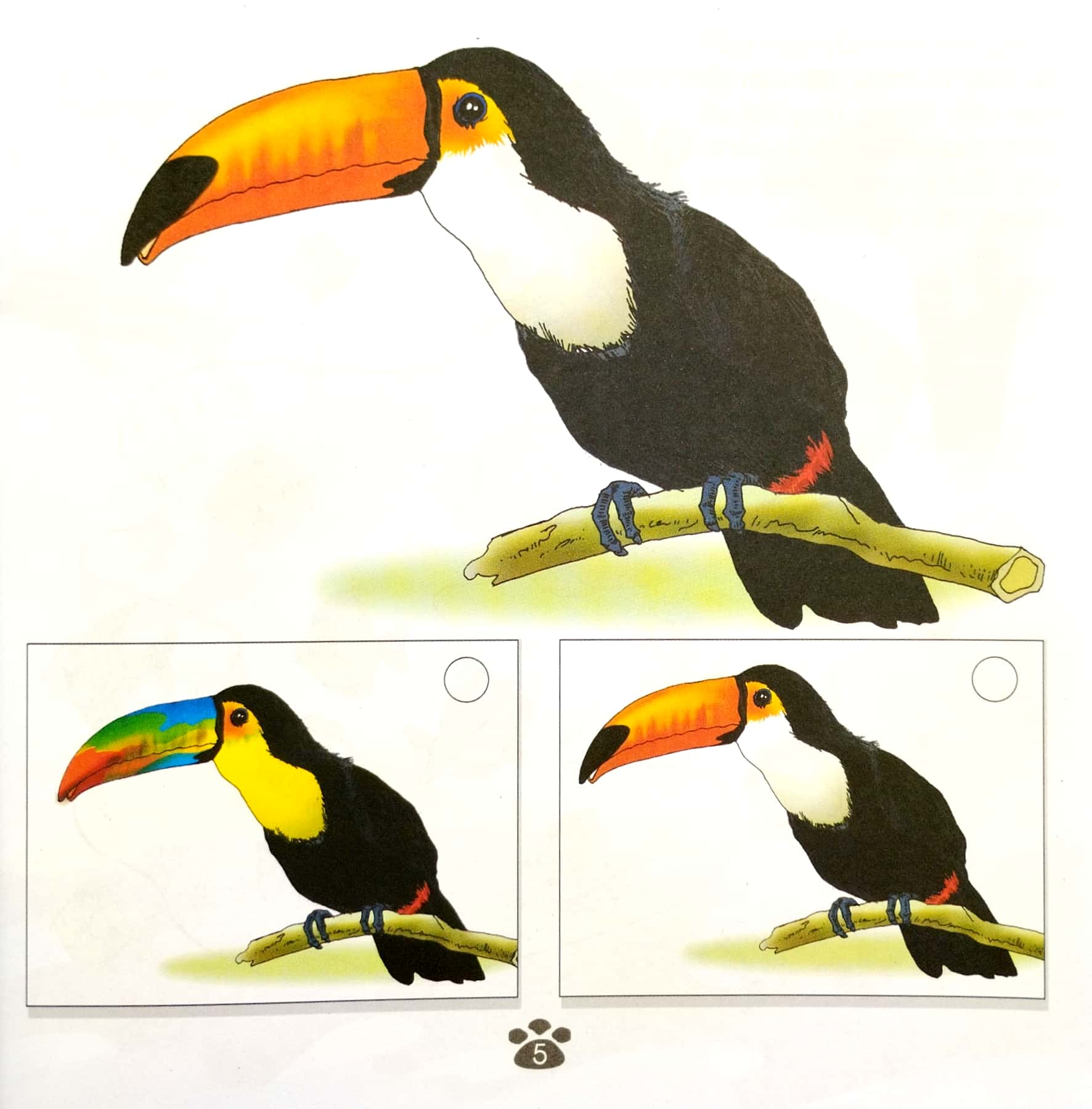 sân chơi trí tuệ của chim đa đa - trò chơi rèn luyện khả năng chú ý (tái bản 2022) - Ảnh 5