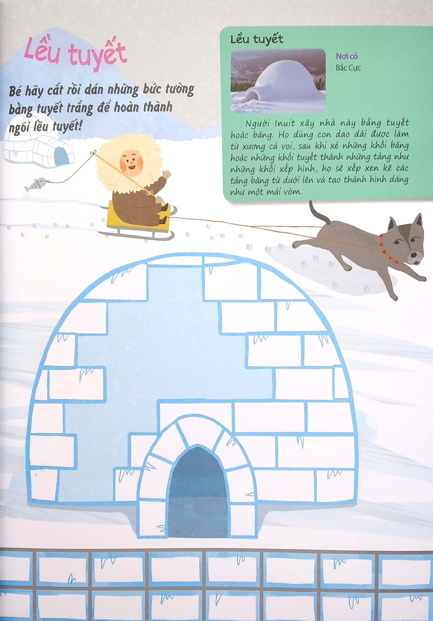 sáng tạo mĩ thuật và tìm hiểu hệ sinh thái: địa cực - Ảnh 3