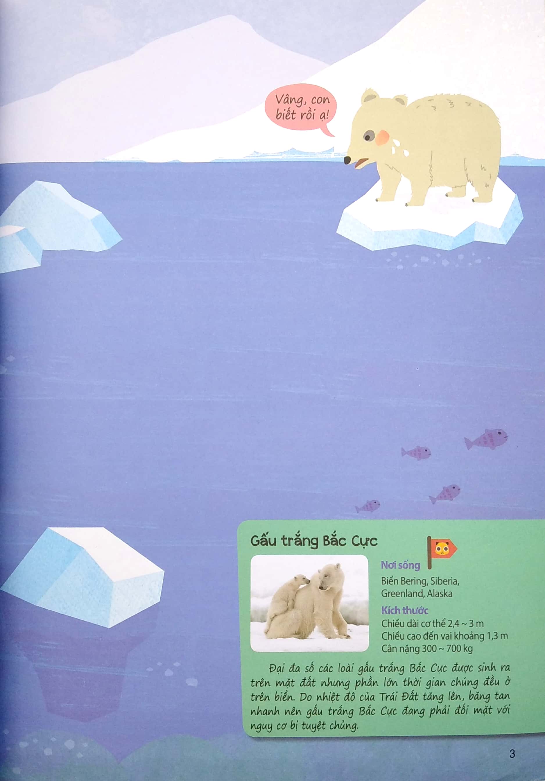 sáng tạo mĩ thuật và tìm hiểu hệ sinh thái: địa cực - Ảnh 5