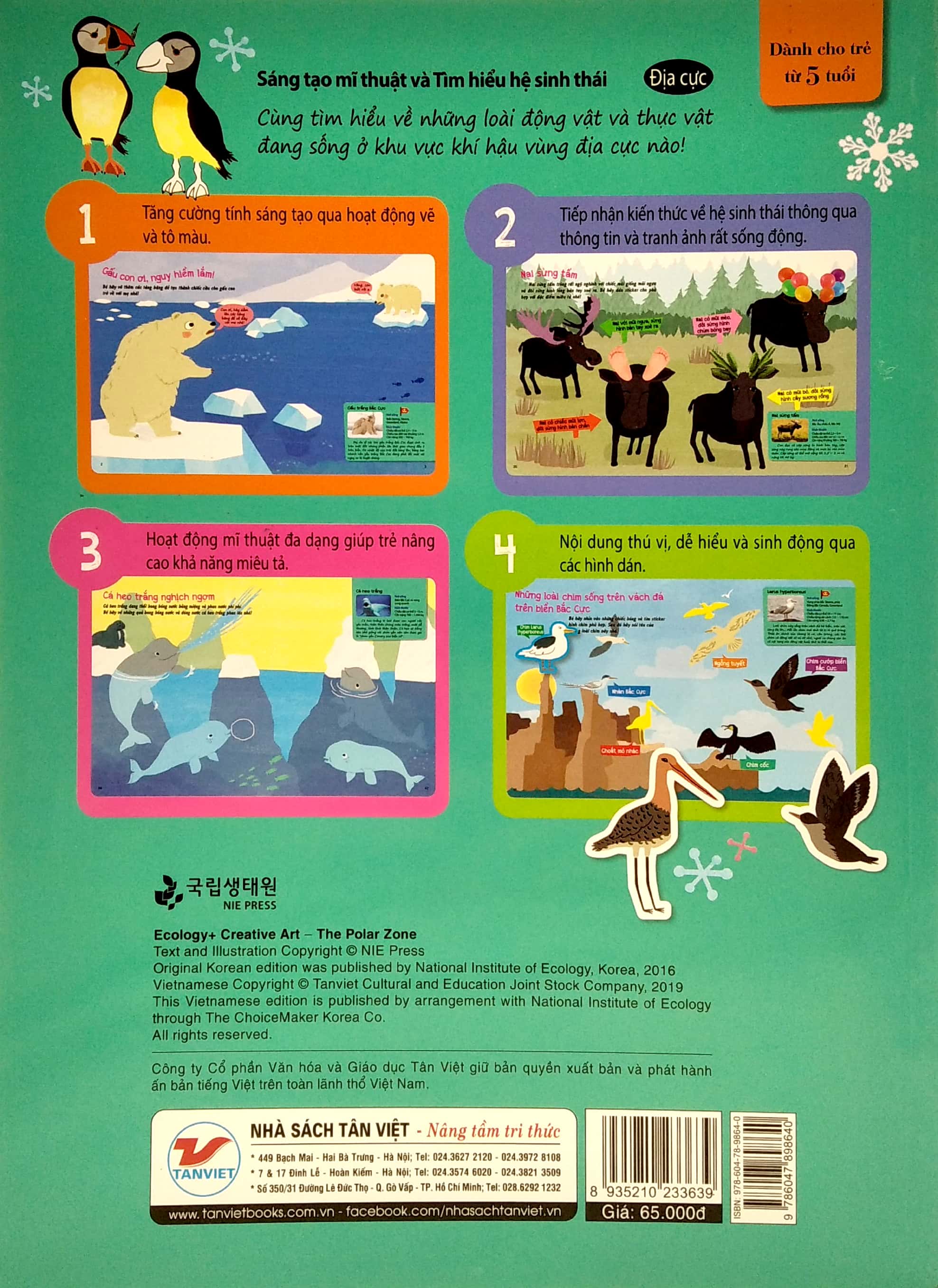 sáng tạo mĩ thuật và tìm hiểu hệ sinh thái: địa cực - Ảnh 6