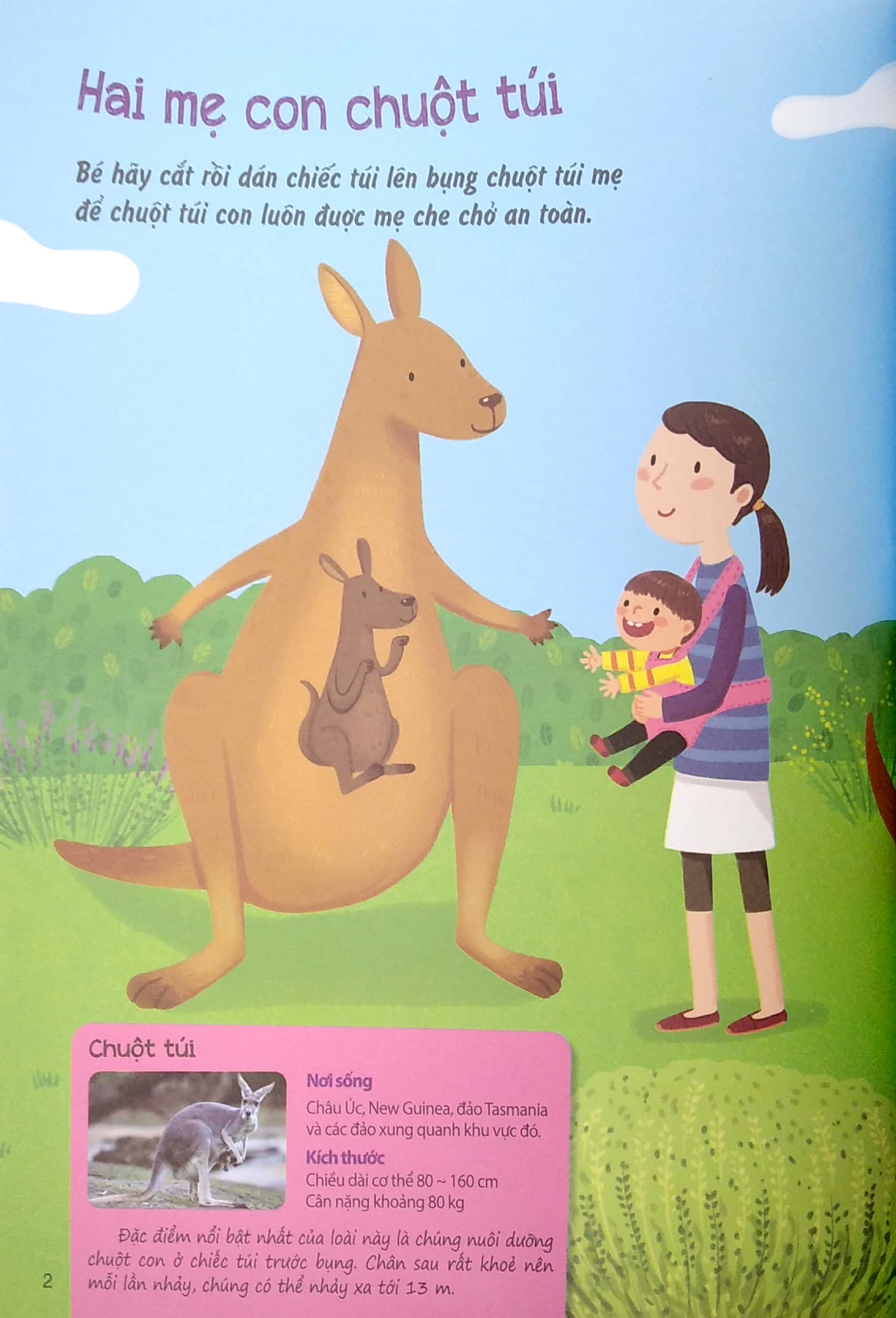 sáng tạo mĩ thuật và tìm hiểu hệ sinh thái: địa trung hải - Ảnh 4