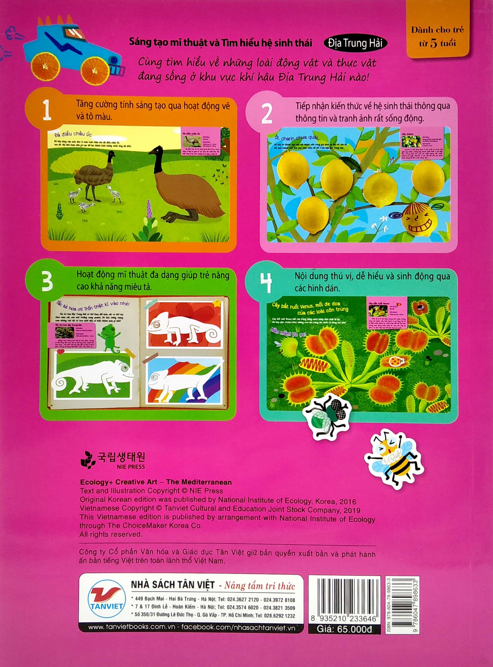 sáng tạo mĩ thuật và tìm hiểu hệ sinh thái: địa trung hải - Ảnh 6