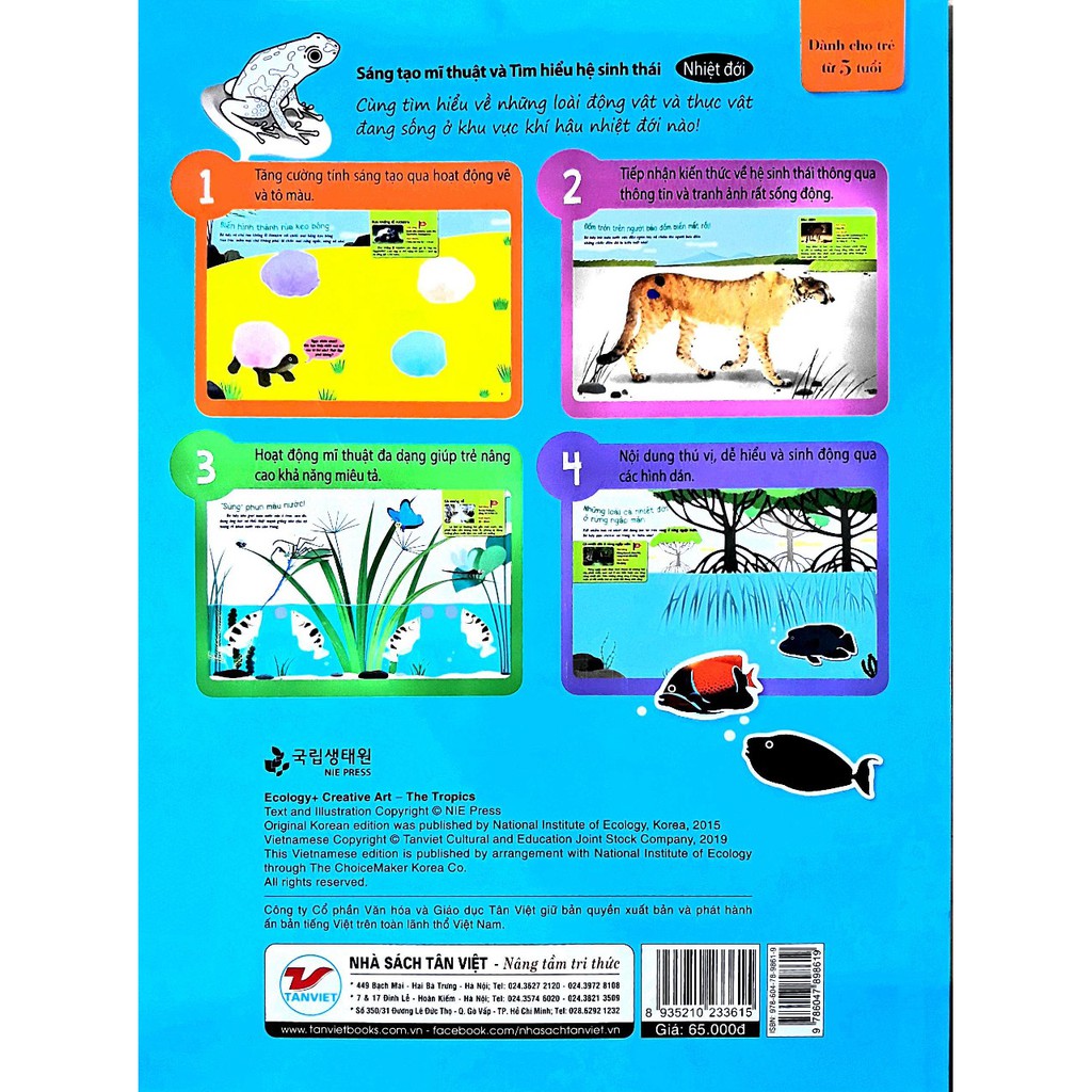 sáng tạo mĩ thuật và tìm hiểu hệ sinh thái: nhiệt đới - Ảnh 4