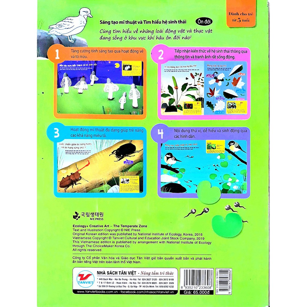 sáng tạo mĩ thuật và tìm hiểu hệ sinh thái: ôn đới - Ảnh 4