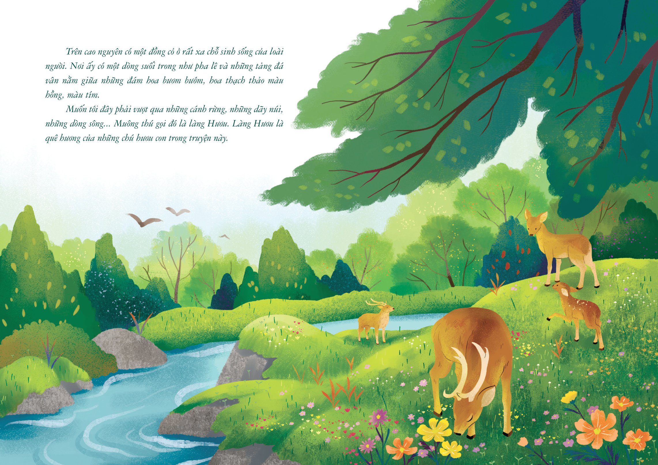 sao sao (tái bản 2024) - Ảnh 4