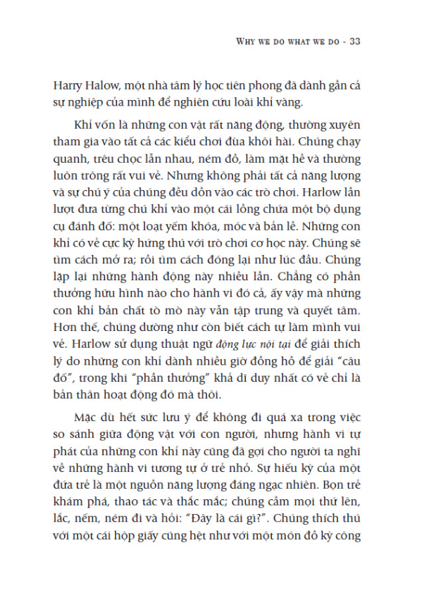 sao ta làm điều ta làm - Ảnh 4