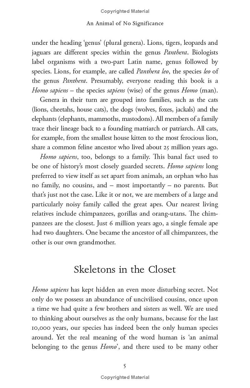 sapiens - a brief history of humankind (10 year anniversary edition) - Ảnh 11