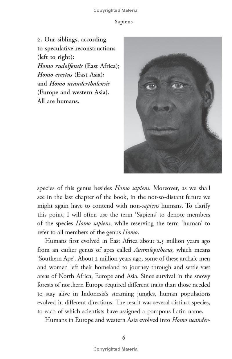 sapiens - a brief history of humankind (10 year anniversary edition) - Ảnh 12