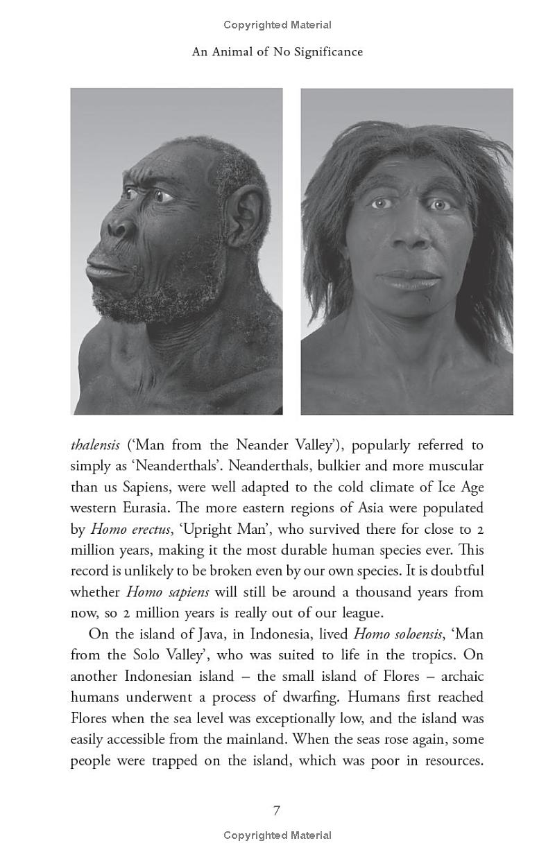 sapiens - a brief history of humankind (10 year anniversary edition) - Ảnh 15