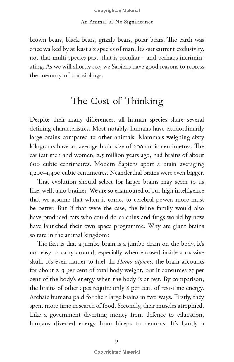 sapiens - a brief history of humankind (10 year anniversary edition) - Ảnh 18