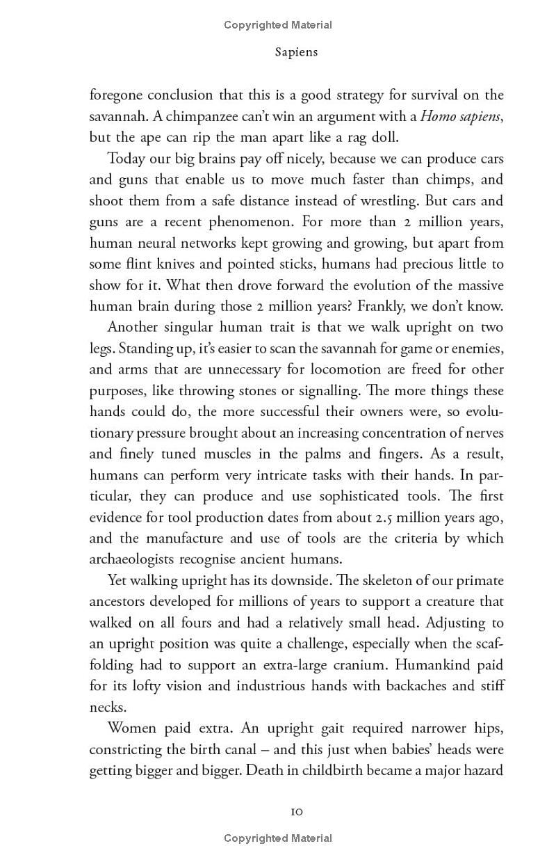 sapiens - a brief history of humankind (10 year anniversary edition) - Ảnh 21