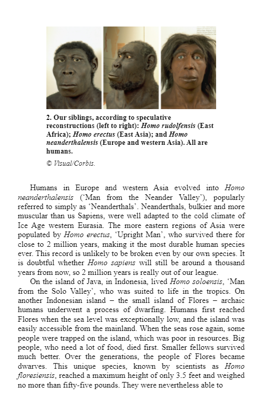 sapiens: a brief history of humankind - Ảnh 7