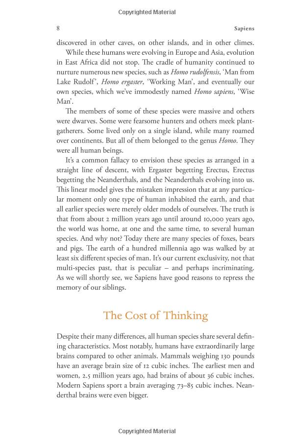 sapiens: a brief history of humankind: (patterns of life) - Ảnh 11